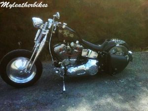 Sacohe Softail S06GLNG
